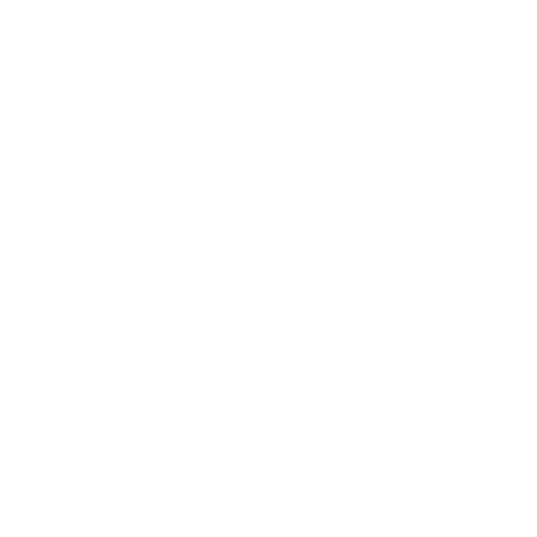 logo_evelyne